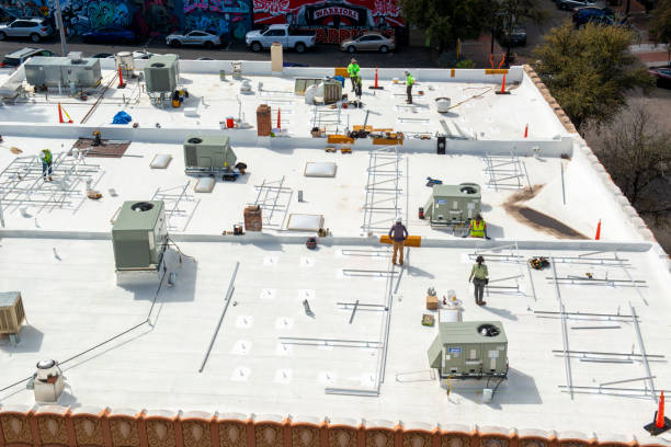 Best Roof Moss and Algae Removal  in El Dorado Hills, CA