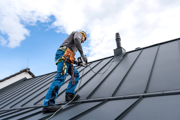 Best Roof Maintenance and Cleaning  in El Dorado Hills, CA