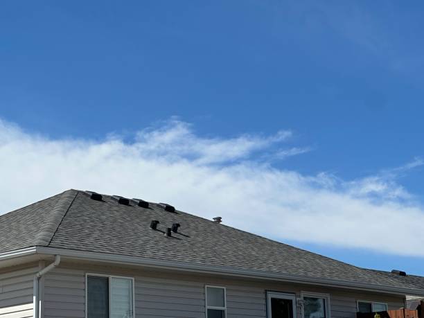 Best Green or Eco-Friendly Roofing Solutions  in El Dorado Hills, CA